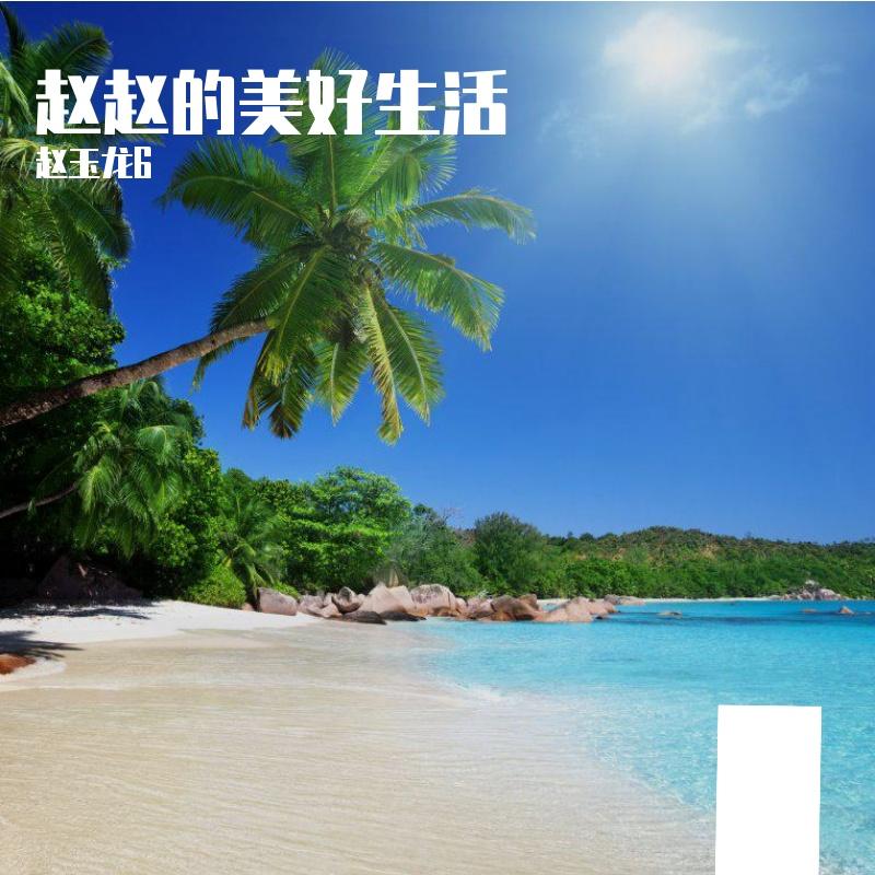 踏碎琼瑶 - 赵玉龙6封面