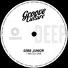 Sebb Junior - I Need Love