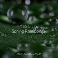 50 Relaxing Spring Rain Songs