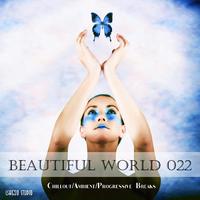 Beautiful world 022