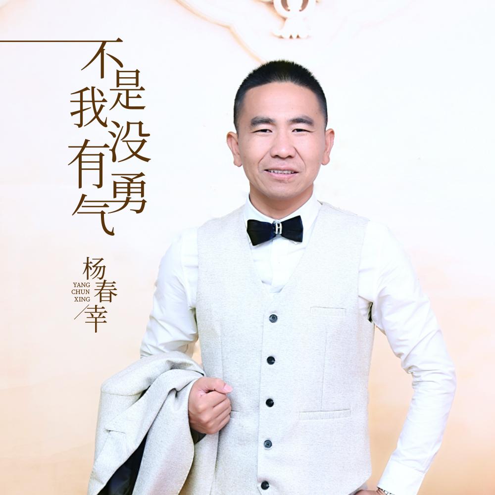 不是我没有勇气 (伴奏) - 杨春幸封面