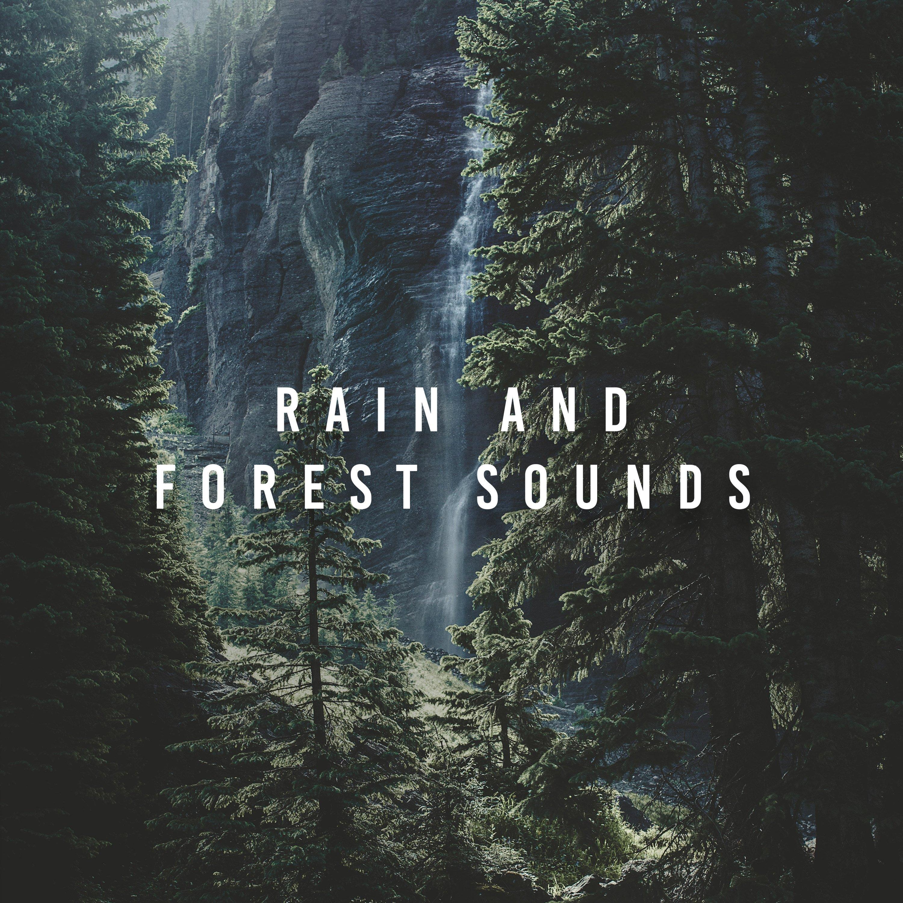 Repeat_ASMR_Rain And Forest Sounds | 在线播放_Repeat歌词_Repeat下载 | 网易云音乐