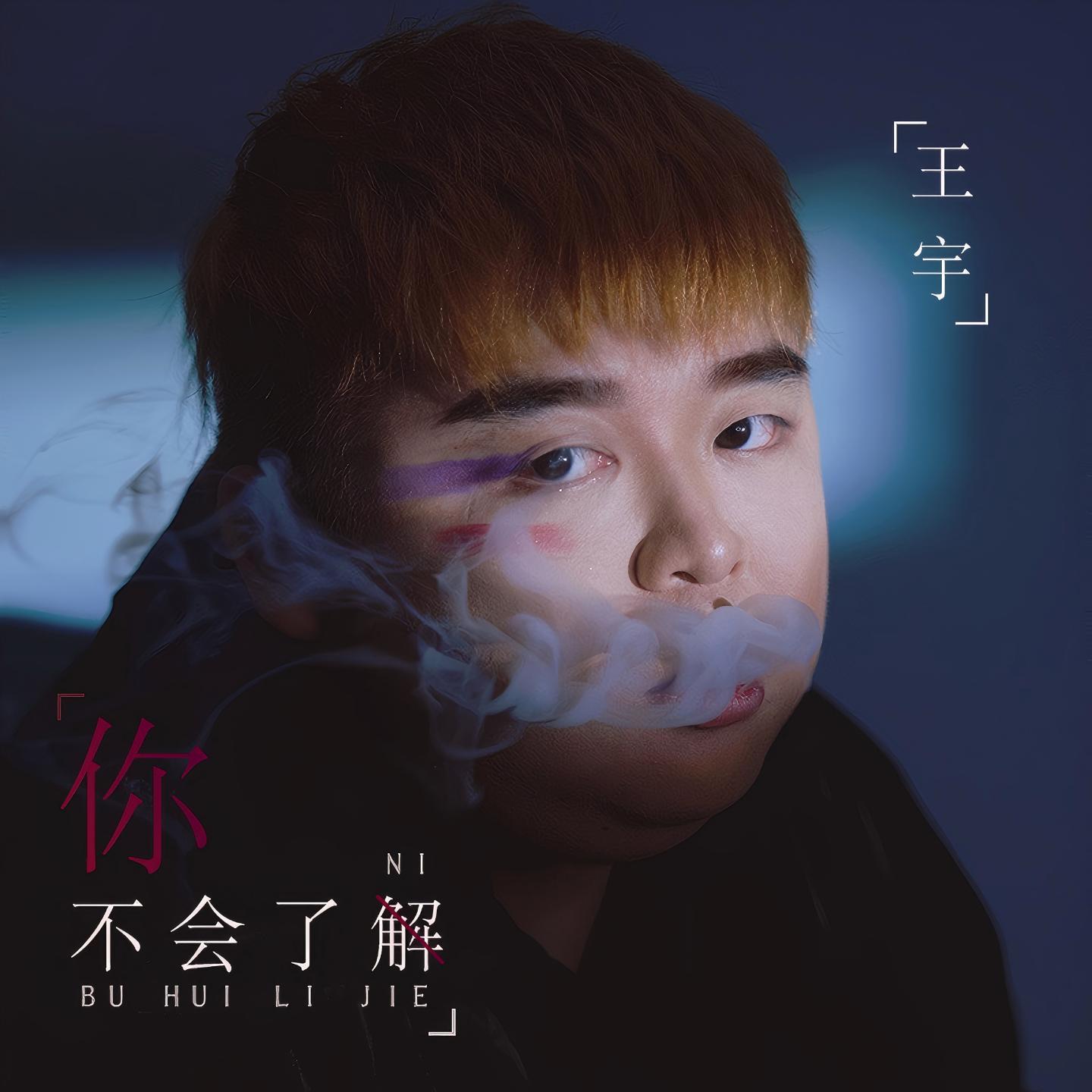 你不会了解封面