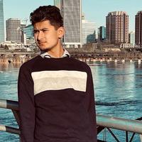 Hamid's Journey