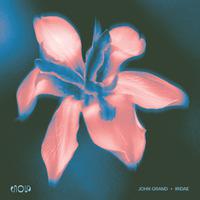 Iridae