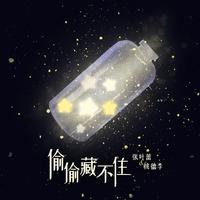 偷偷藏不住（非官方小说发烧友追星歌曲）