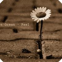 Fort Ocean