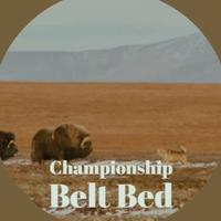 Championship Belt Bed