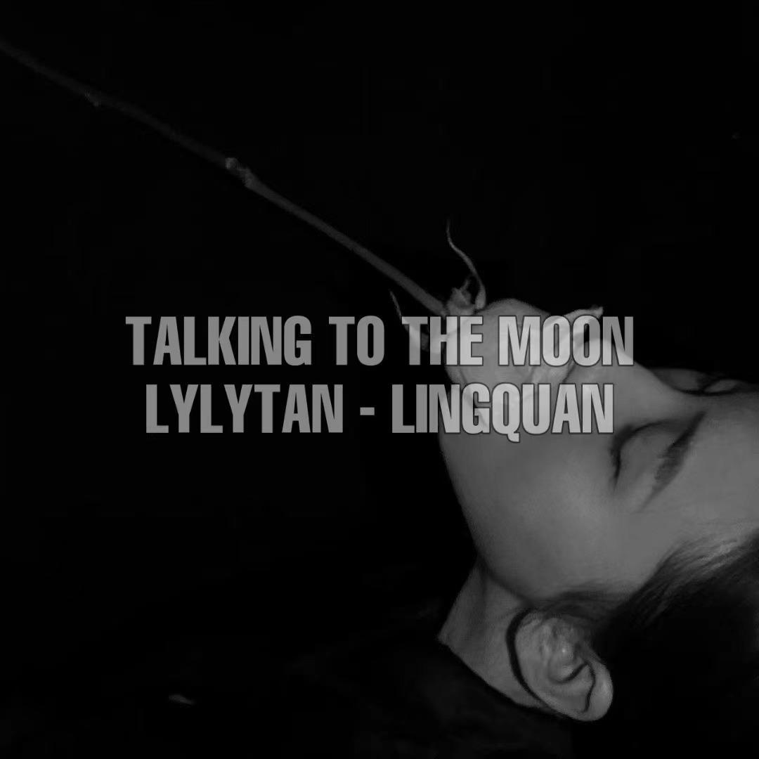 Talking To The Moon