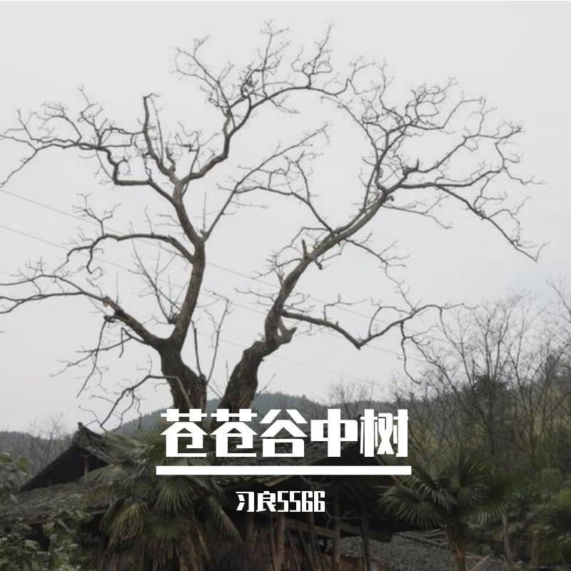 忽闻岸上踏歌声 (9)