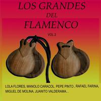 Los Grandes Del Flamenco (Vol. 2)