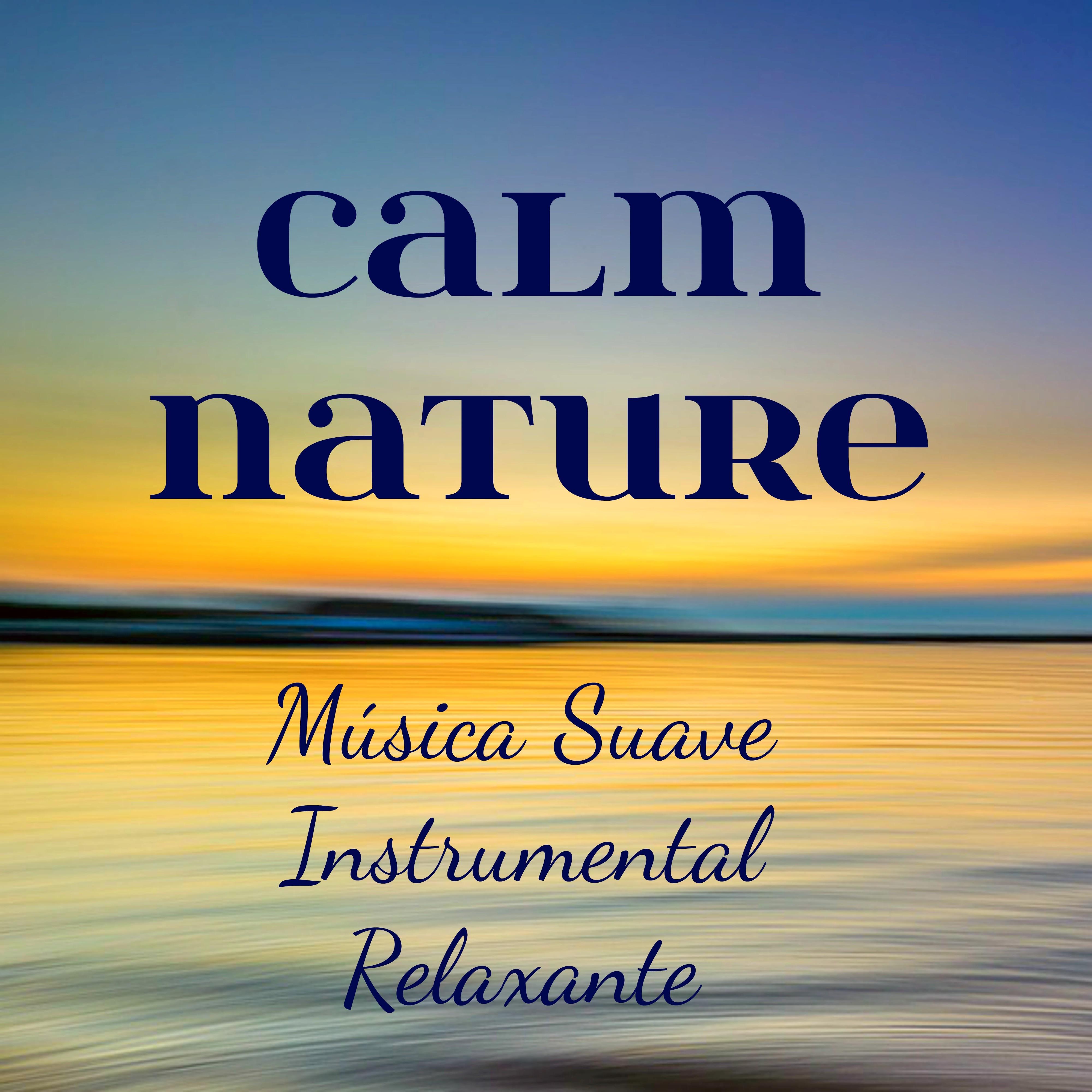 Osho World (Meditation Music)