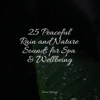 25 Peaceful Rain and Nature Sounds for Spa & Wellbeing