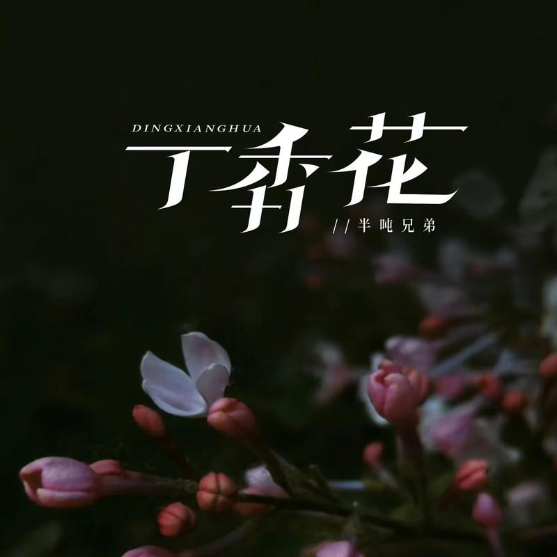 丁香花 (烟嗓版)封面