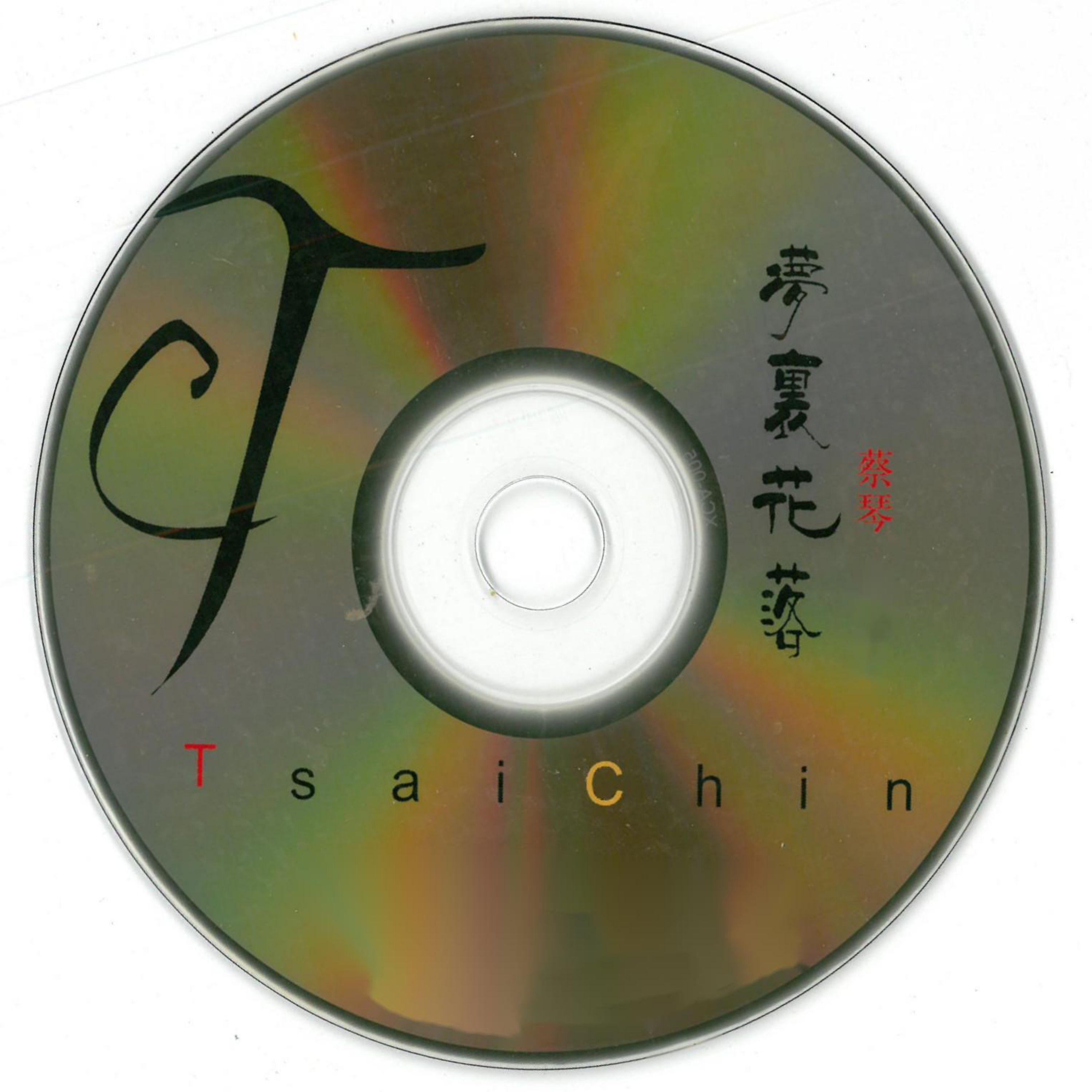 怎么能 - 蔡琴封面
