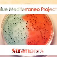 Blue Mediterraneo Project资料,Blue Mediterraneo Project最新歌曲,Blue Mediterraneo ProjectMV视频,Blue Mediterraneo Project音乐专辑,Blue Mediterraneo Project好听的歌