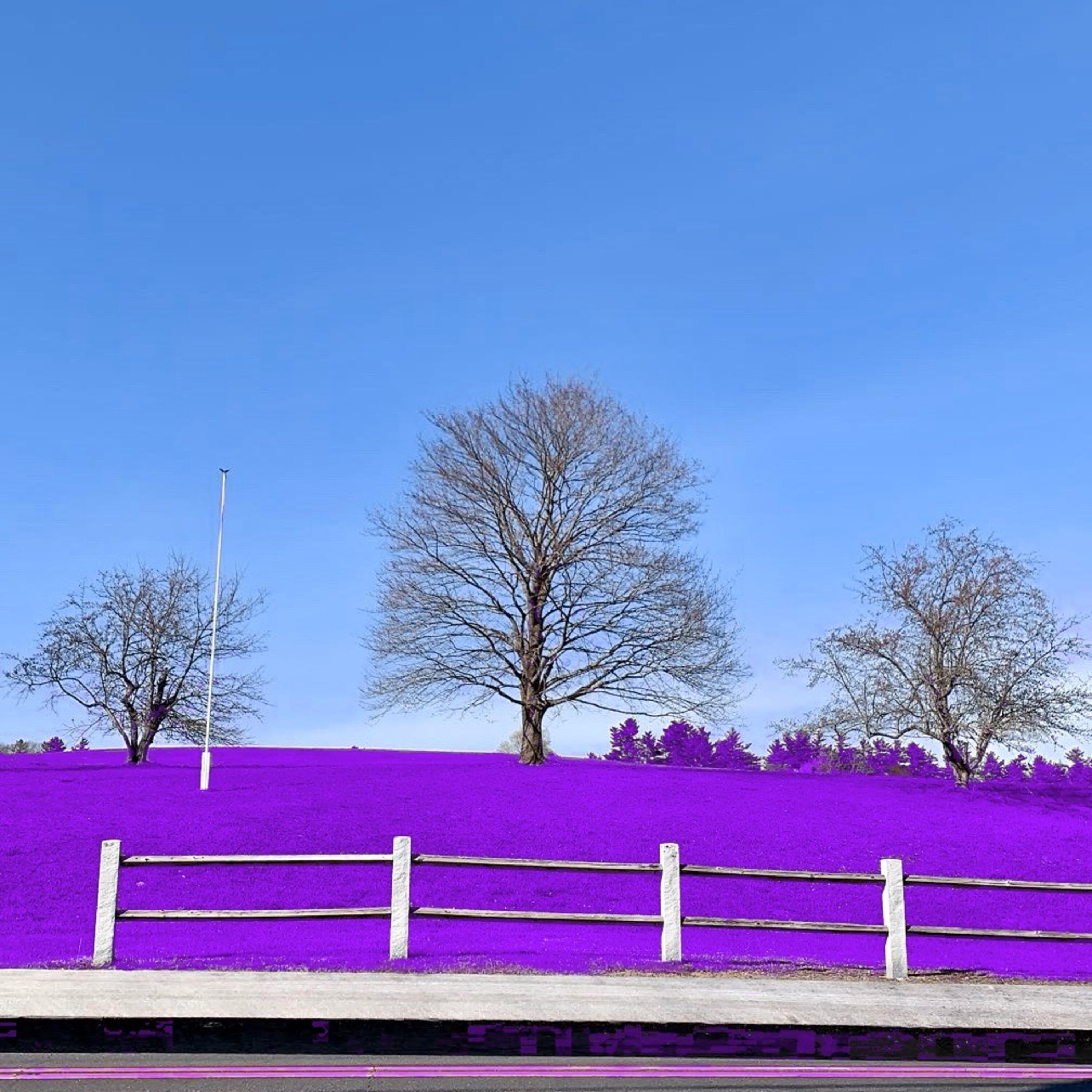 crystal ball (psychic type)