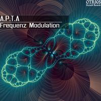 Frequenz Modulation