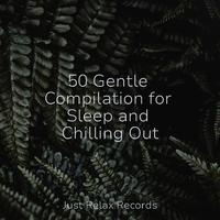 50 Gentle Compilation for Sleep and Chilling Out