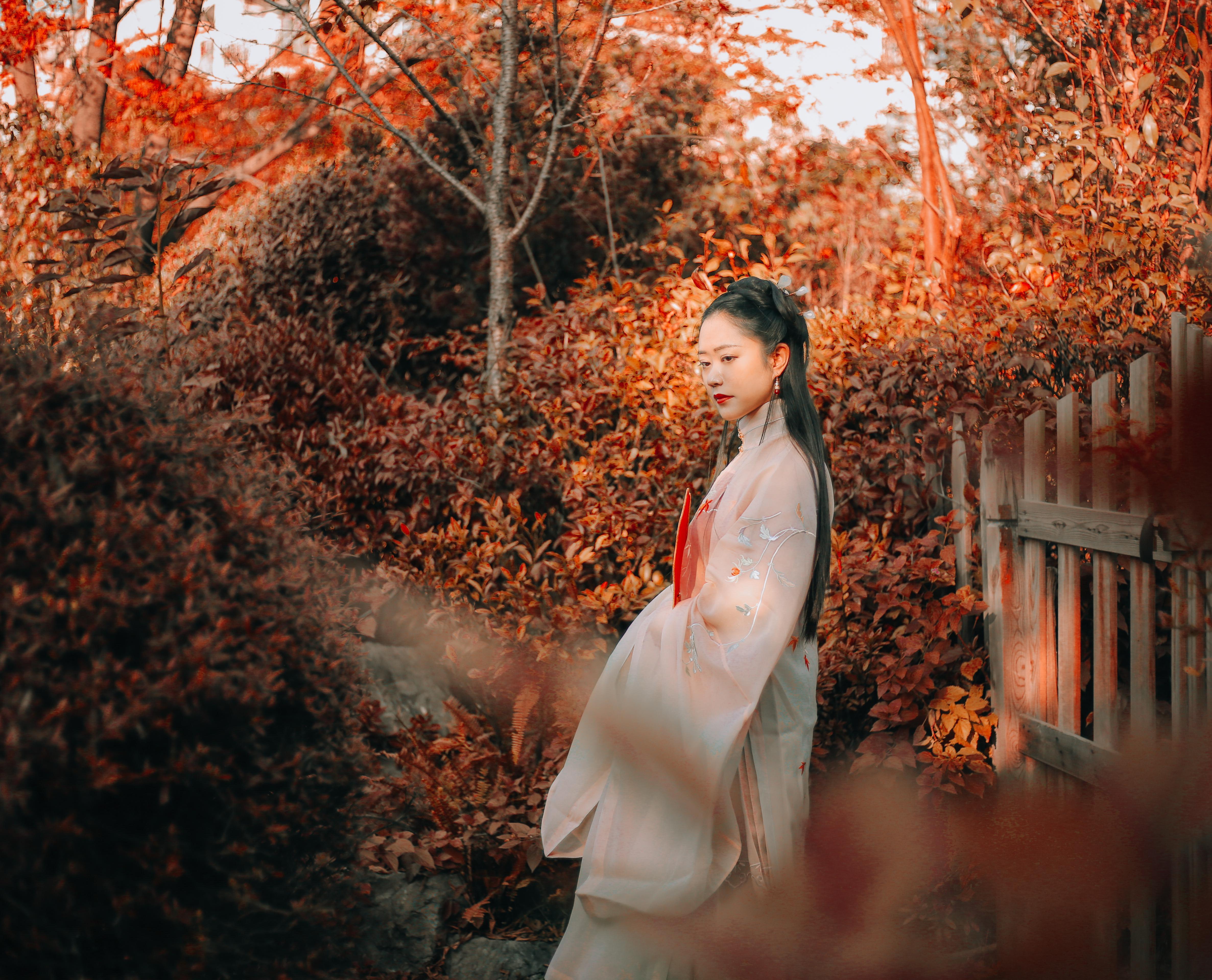 檀倾