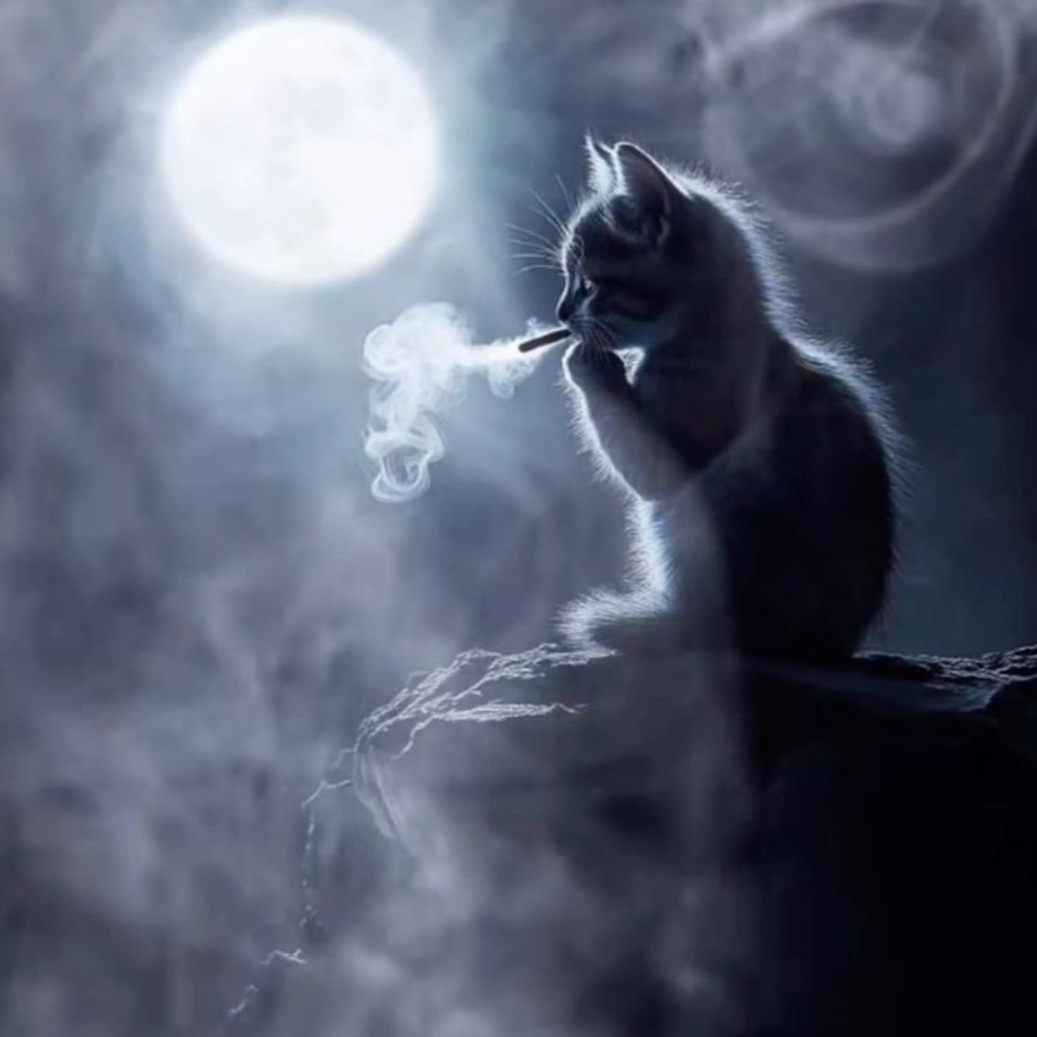 mirrors demo - happy version