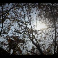 From Shanghai (To Wherever I Will Go)