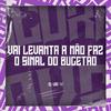 Dj VN Maestro - Vai Levanta a Mão Faz o Sinal do Bucetão