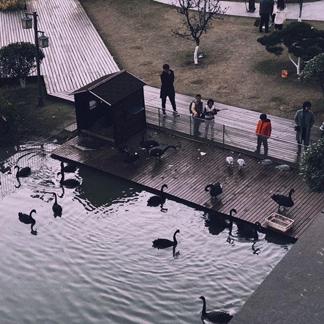 我是真的爱上你