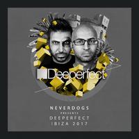 Neverdogs Presents Deeperfect Ibiza 2017