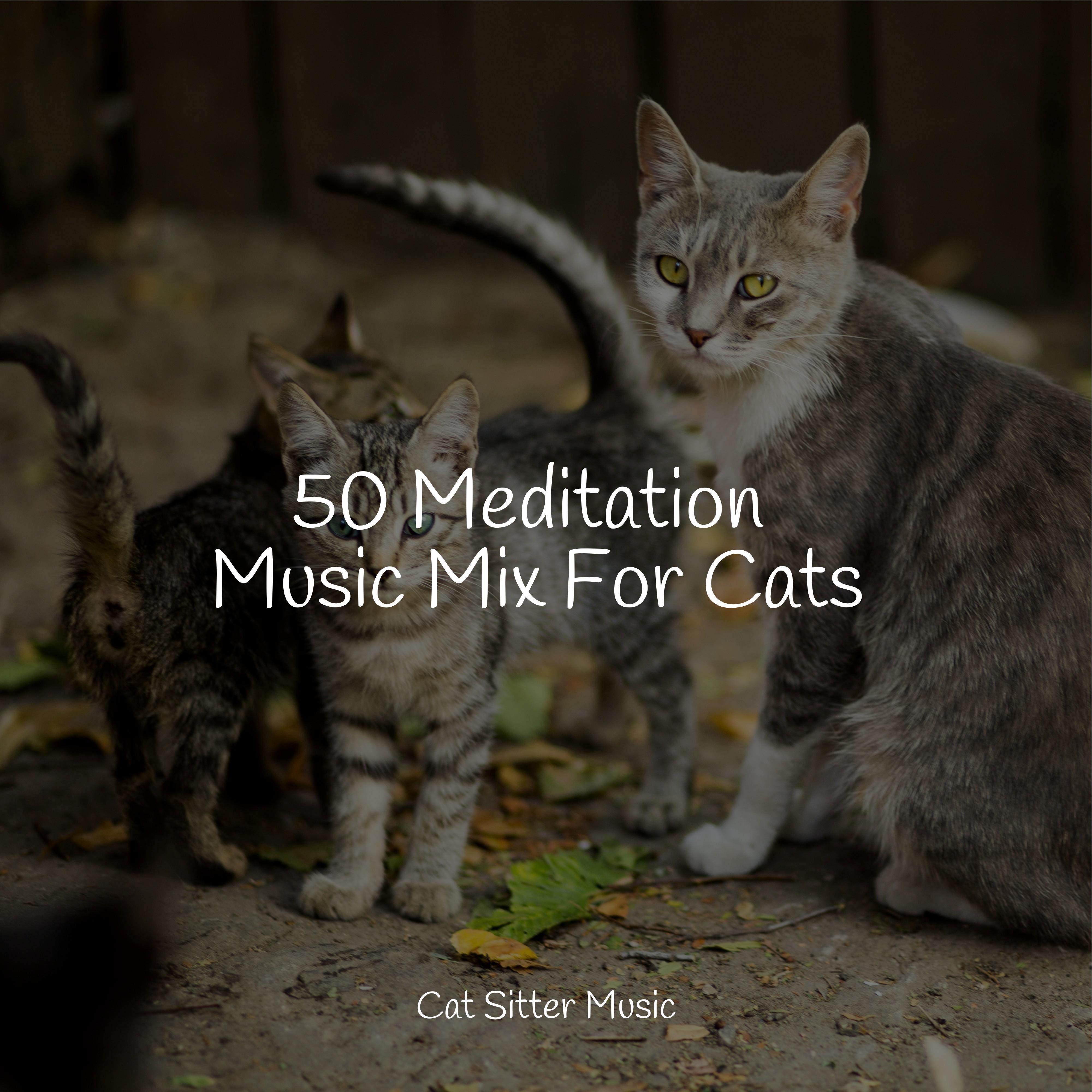 Low Frequency Waves Music For Pets Library Music For Cats Peace Music