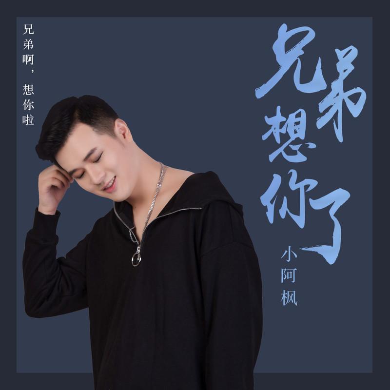 兄弟想你了封面