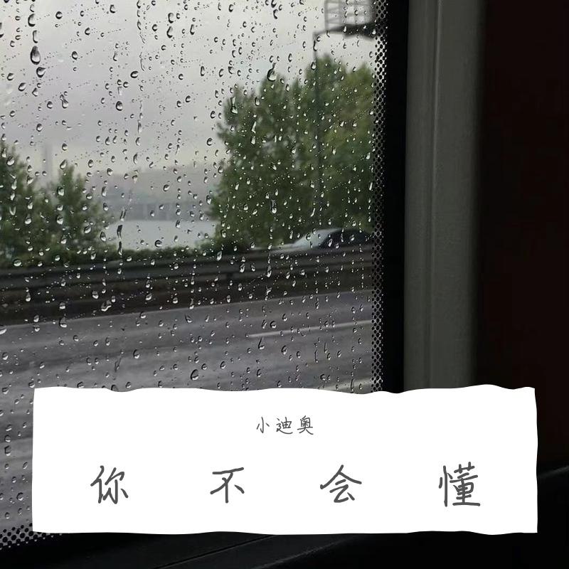 你不会懂（cover Joysaaaa） - 小迪奥封面
