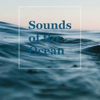 Ocean Waves资料,Ocean Waves最新歌曲,Ocean WavesMV视频,Ocean Waves音乐专辑,Ocean Waves好听的歌