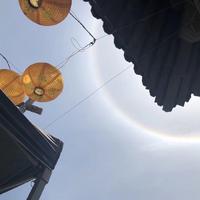都佳辉