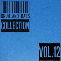 Drum and Bass Collection, Vol. 12