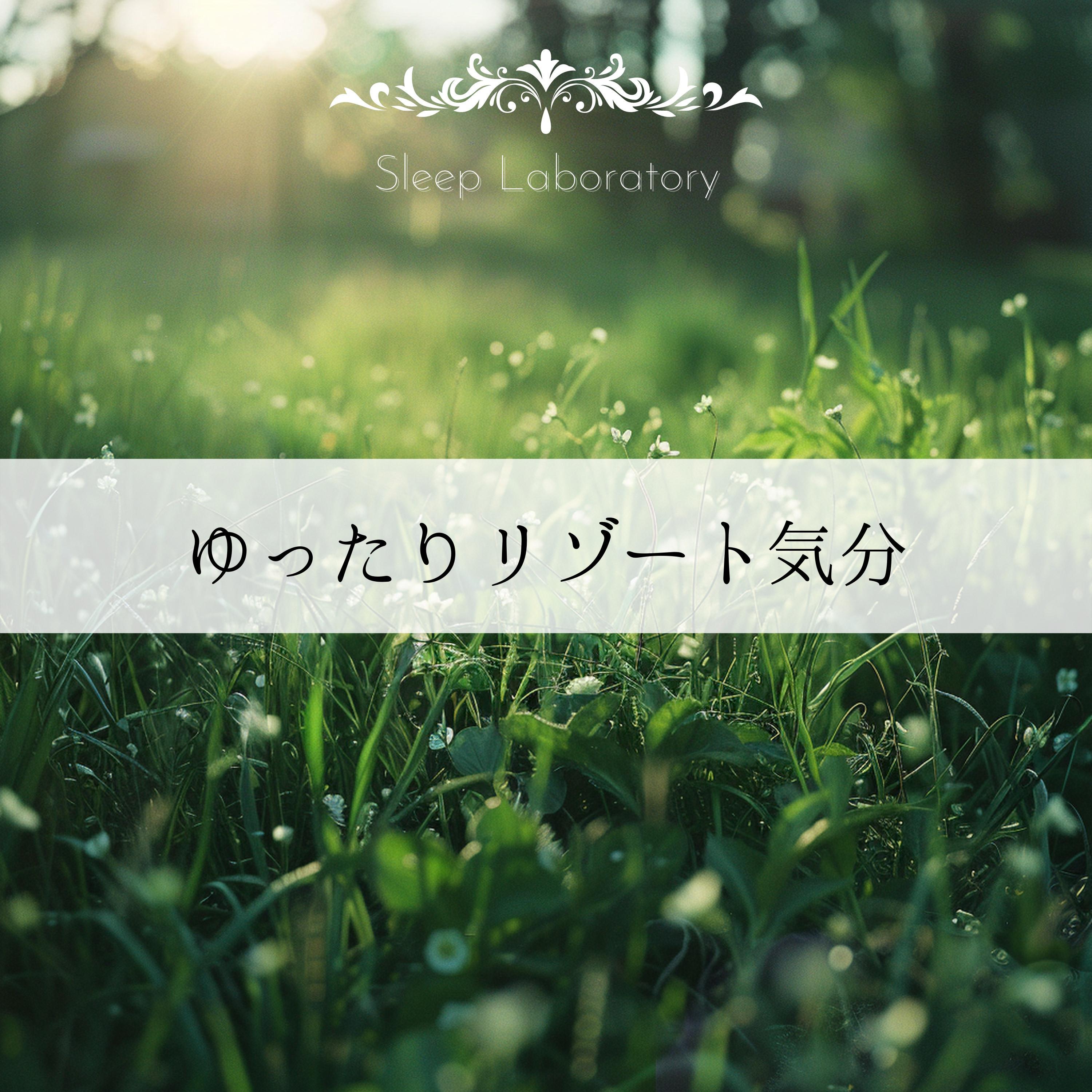 Mellow Daydreams Drift