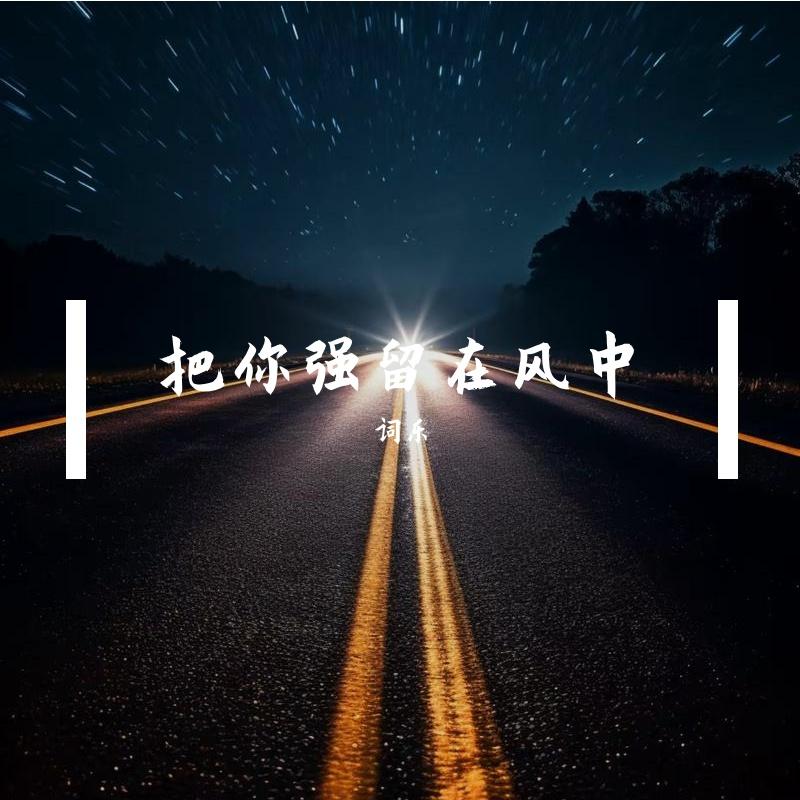把你强留在风中封面