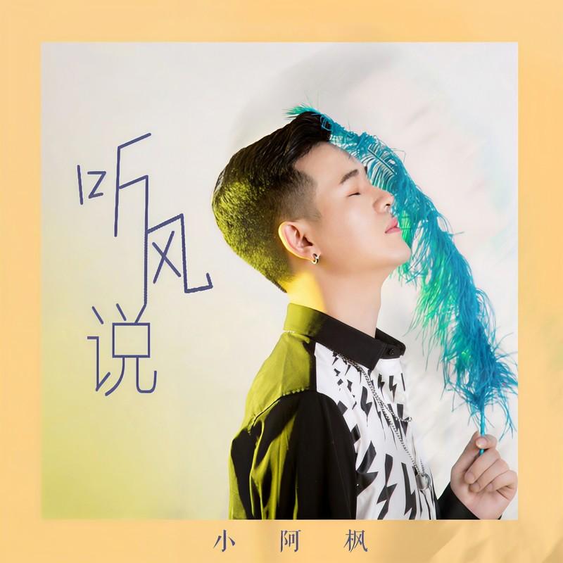 听风说 (DJ沈念版伴奏)封面
