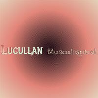 Lucullan Musculospiral