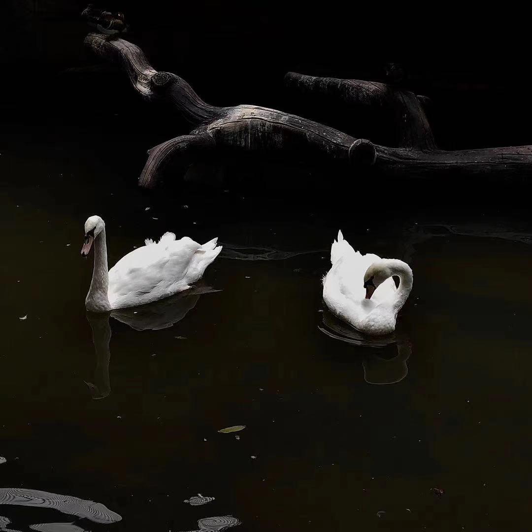 Jah Khalib-Medina（9DIUZ / Dark remix）