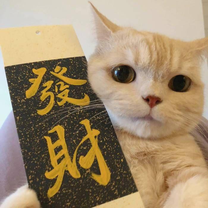 抖快热歌串烧合集纯享版封面