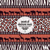 Secrets of Electronic Music: Afro House Edition, Vol. 3