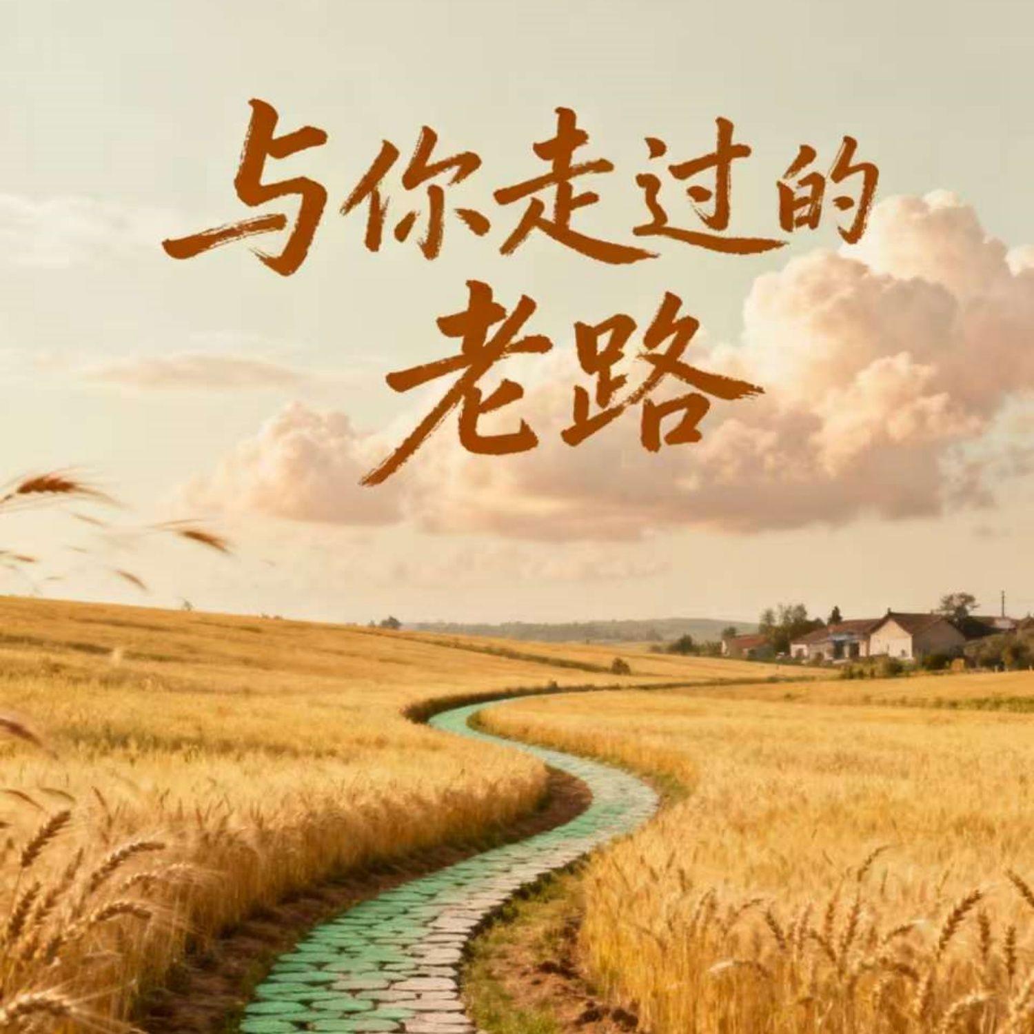 与你走过的老路封面