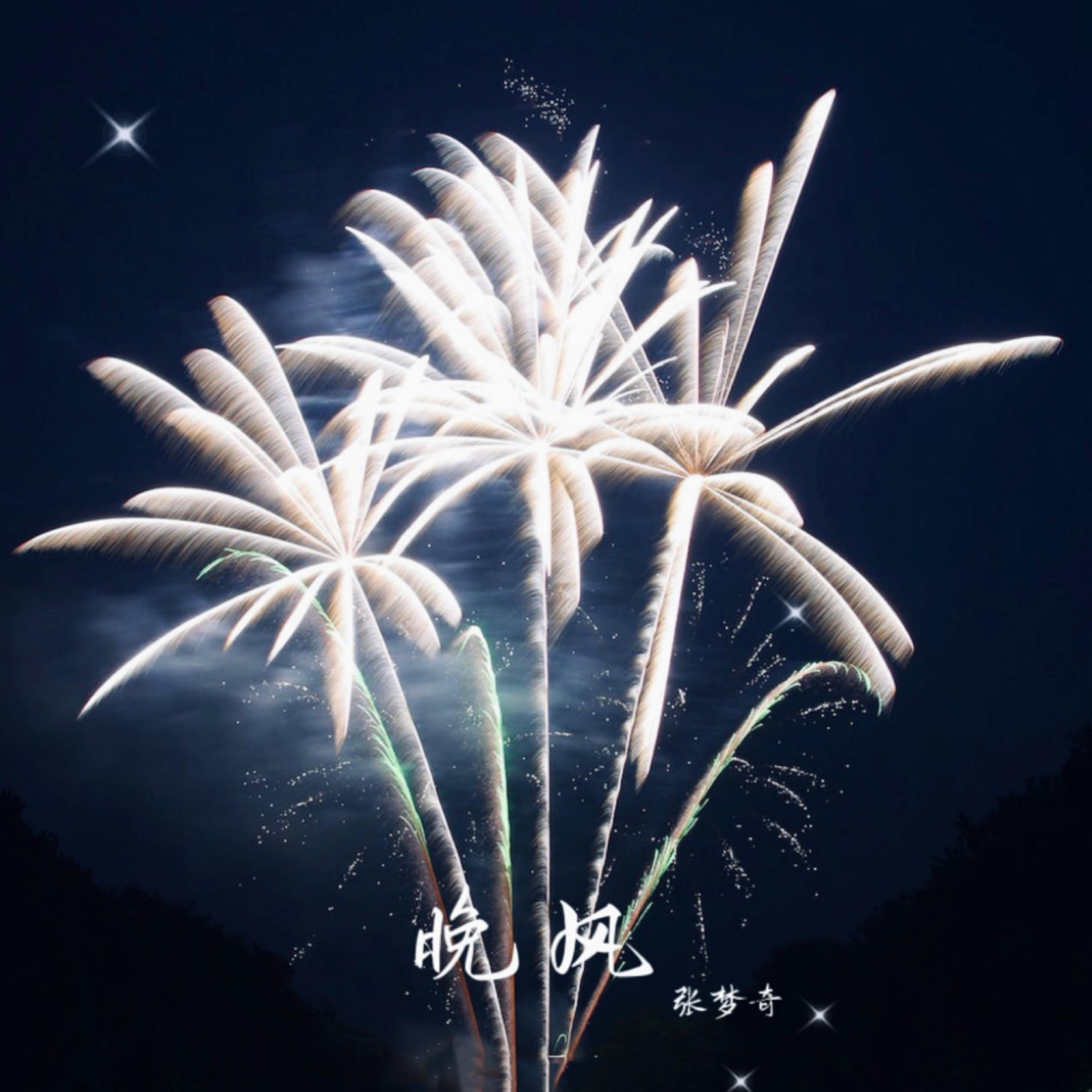 墨绿的夜封面