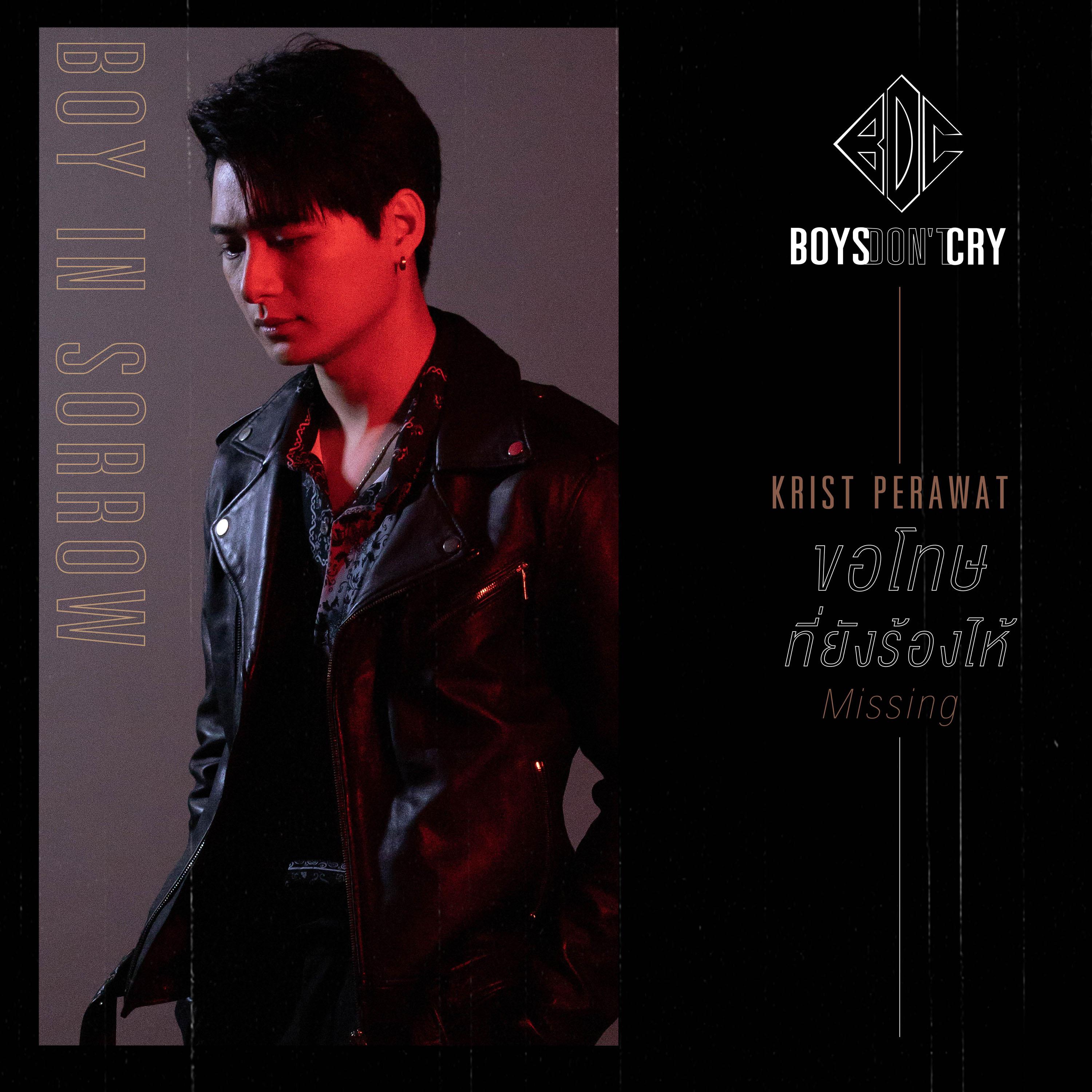 ขอโทษที่ยังร้องไห้ (Missing) / Boys Don't Cry