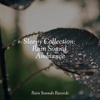 Sleepy Collection: Rain Sound Ambiance