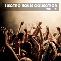 Electro House Collection, Vol. 17