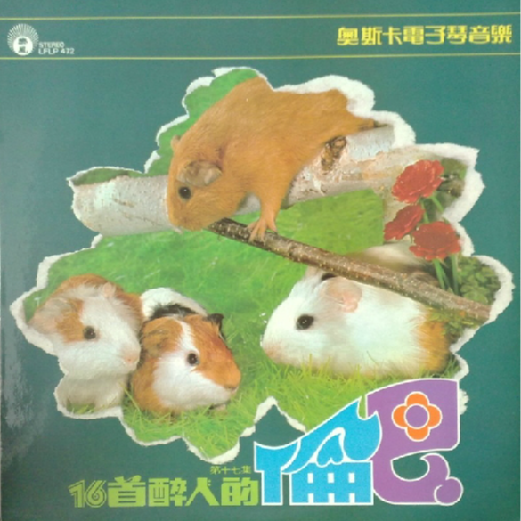 多少柔情多少淚封面