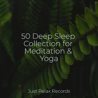 50 Deep Sleep Collection for Meditation & Yoga