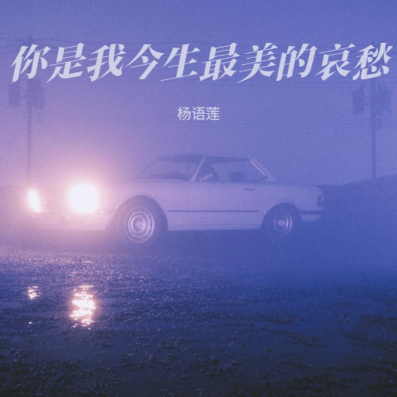 你是我今生最美的哀愁封面